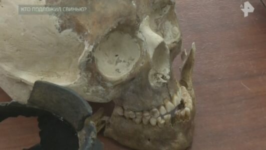 Самые шокирующие гипотезы - Кто подложил свинью? 07.02.2019