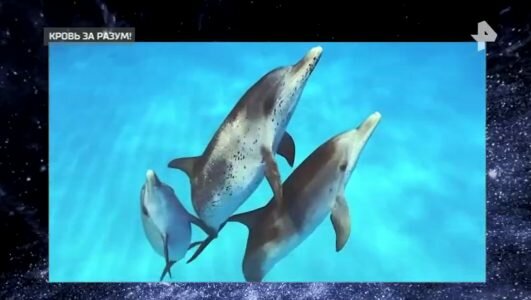 Самые шокирующие гипотезы 22.10.2019